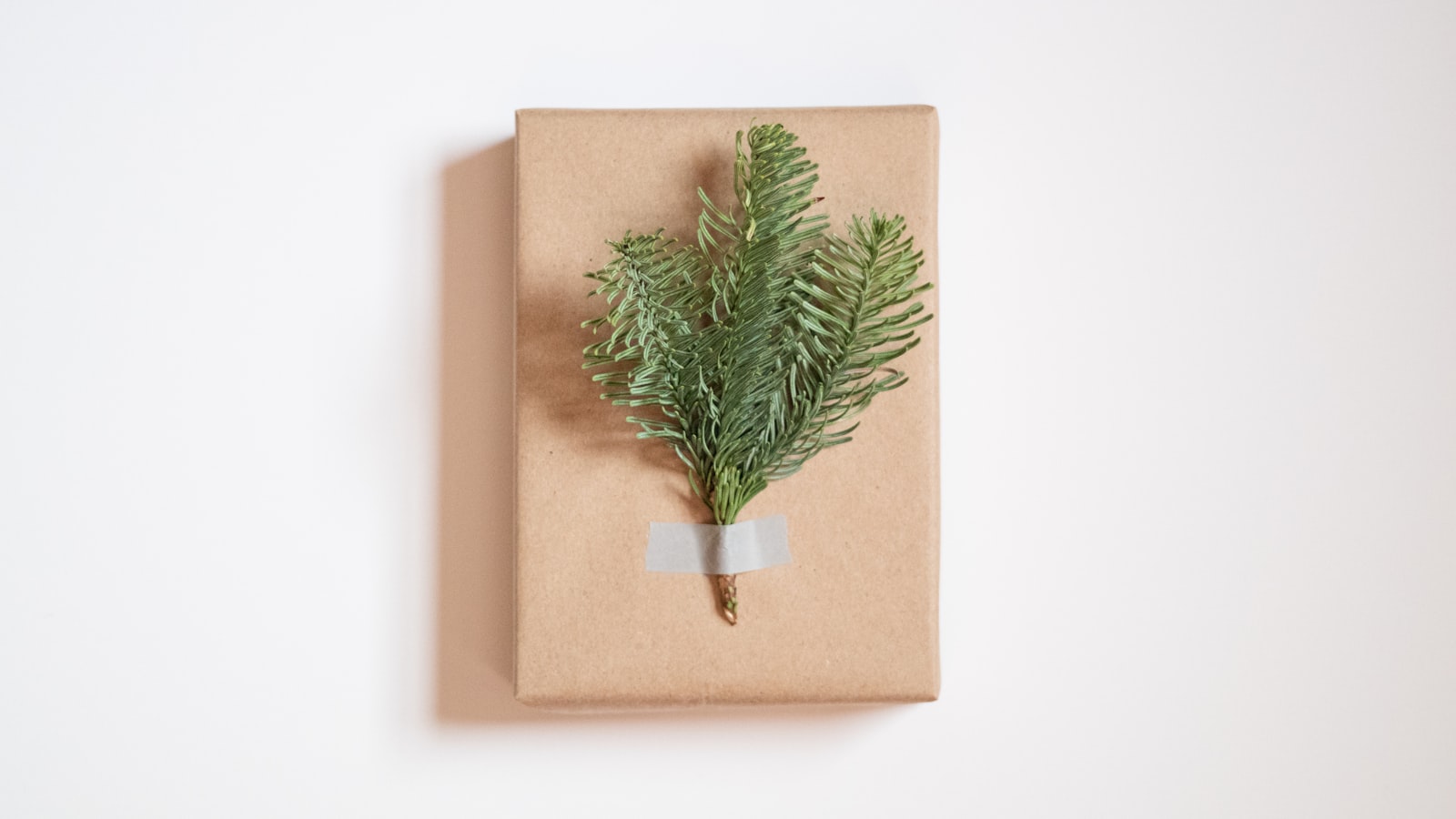 a wrapped present with a plant on top of it