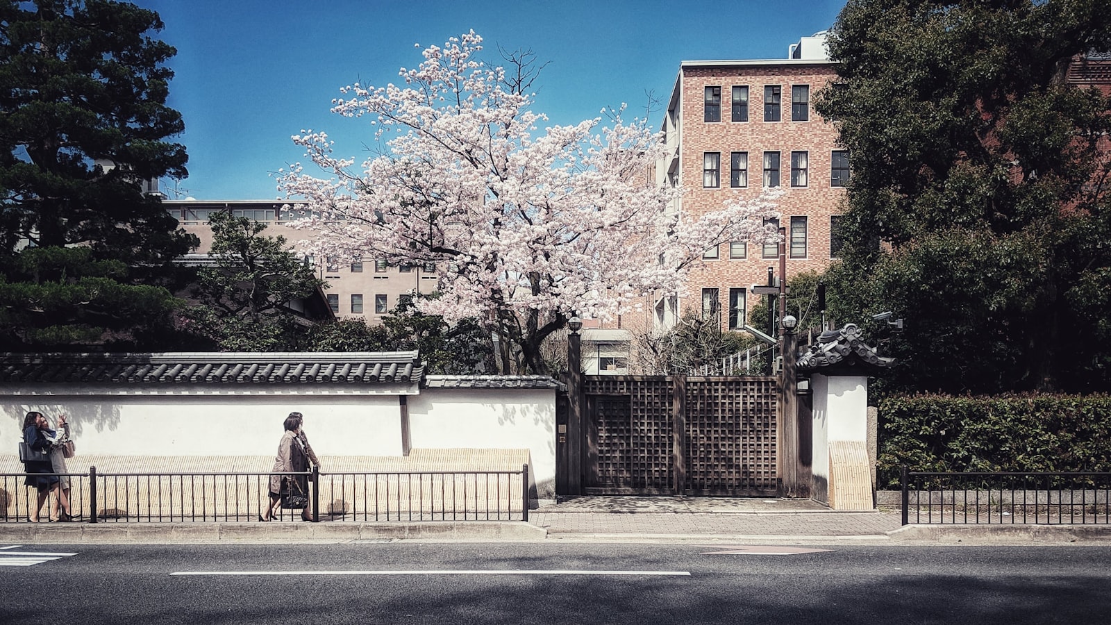 School entrance ceremony gift