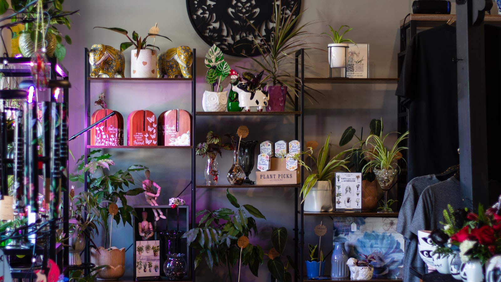 Shelves filled with plants and decorative items.