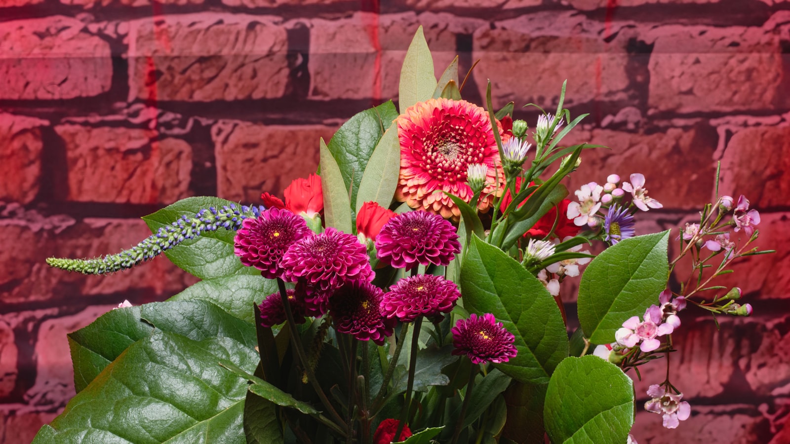 Elegant gift set for elderly mother