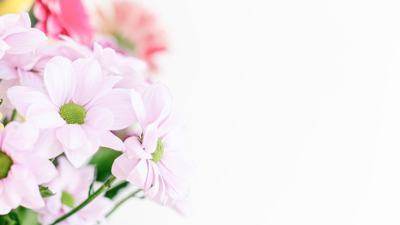 a vase filled with pink and white flowers