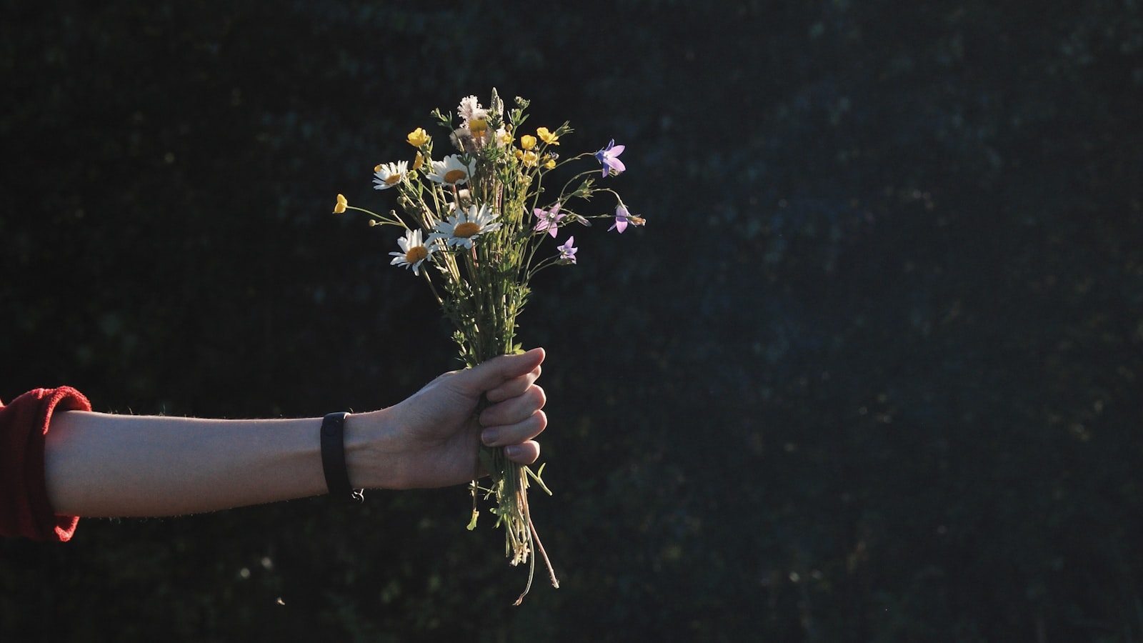 Anniversary apology gift